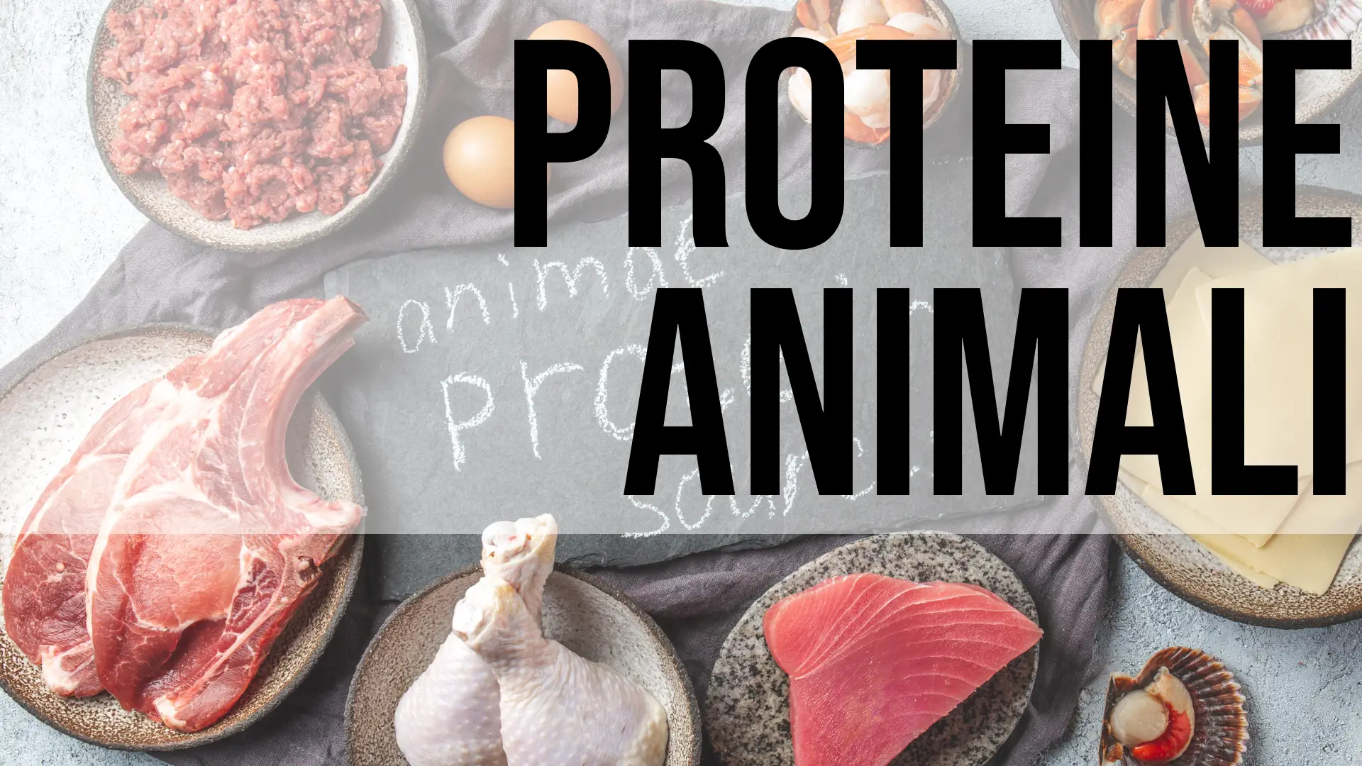 Copertina proteine animali