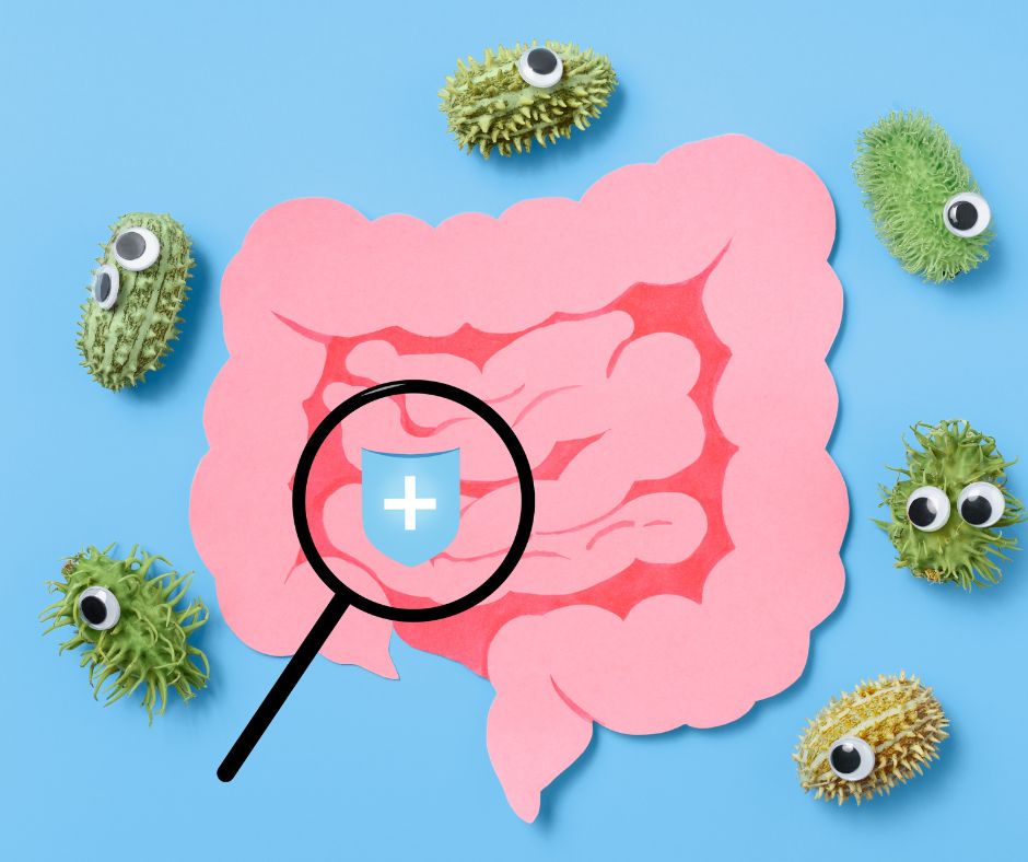 Probiotici e Prebiotici benefici al colon