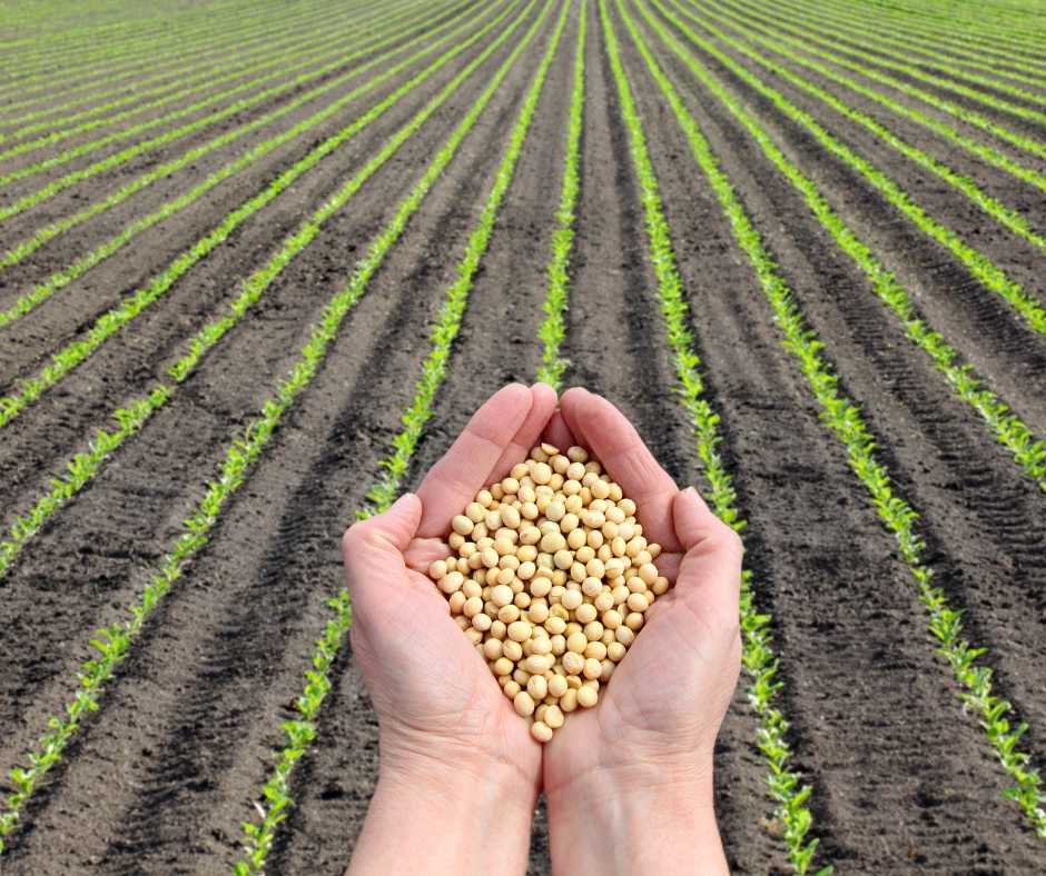 Vantaggi del latte vegetale