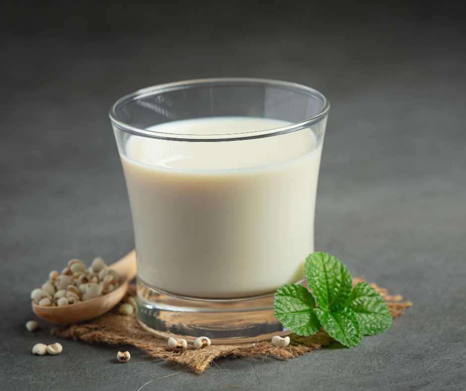 Il latte di miglio è tra le alternative più recenti nel panorama delle bevande vegetali.