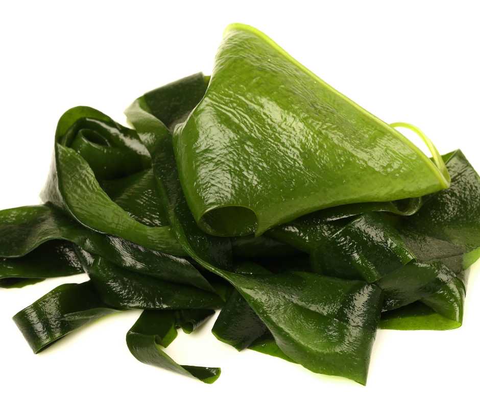 Alghe fonte di fibre e vitamine