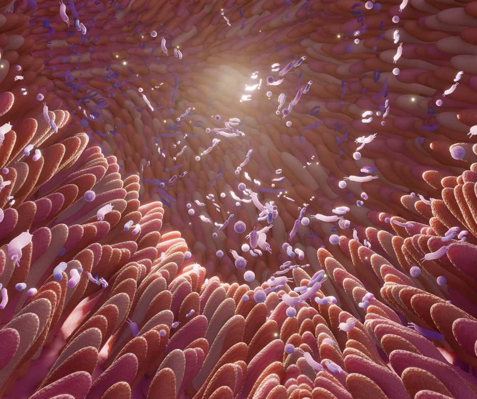 Sclerosi multipla e autoimmunità: come l’alimentazione mirata, con metodo funzionale, può supportare qualità di vita e gestione dei sintomi.