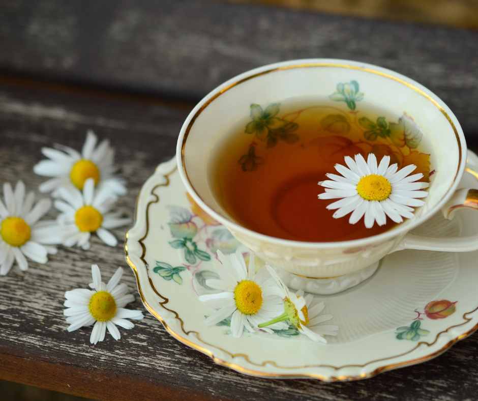Tisane per curare raffreddore