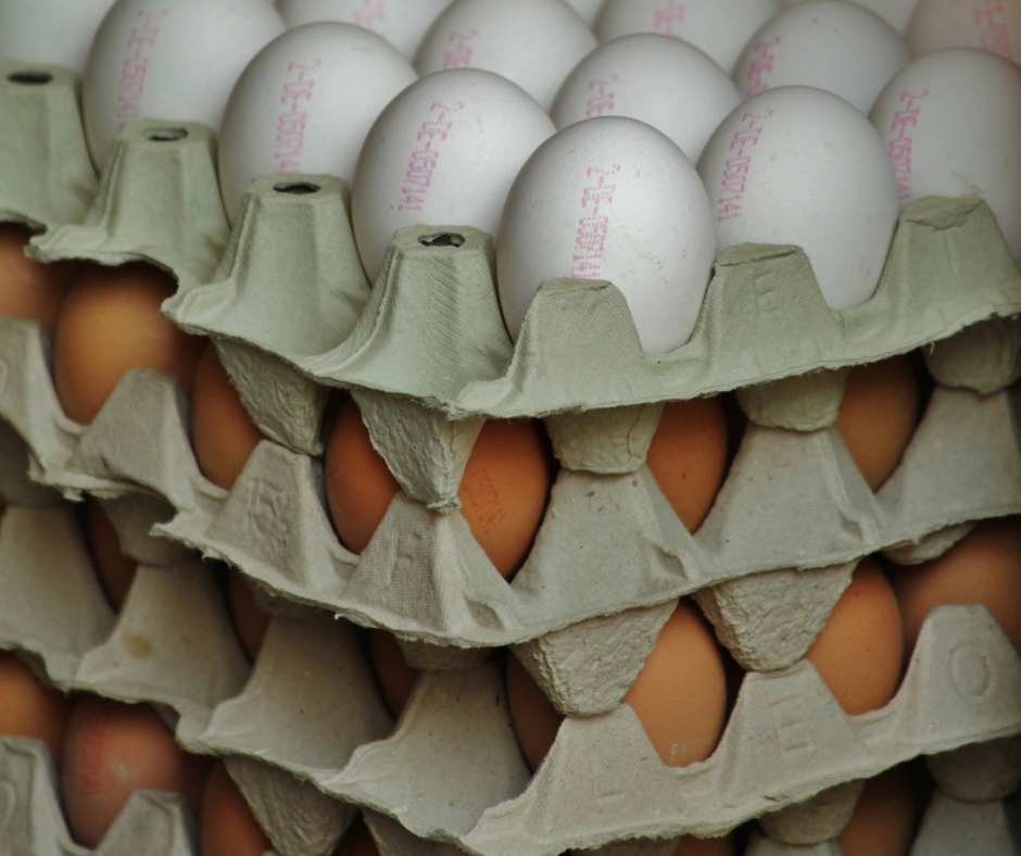 Uova e dieta: l'aspetto culturale